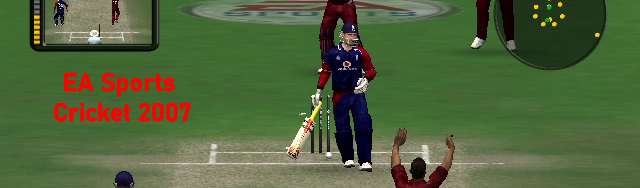 EA Sports Cricket 2007 PC Game